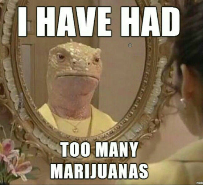 Can’t Even Argue With That Reaction