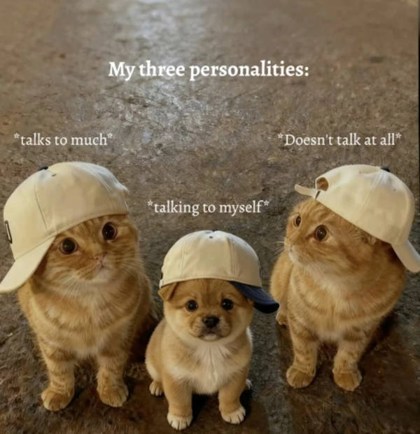 Can’t Even Argue With That Reaction