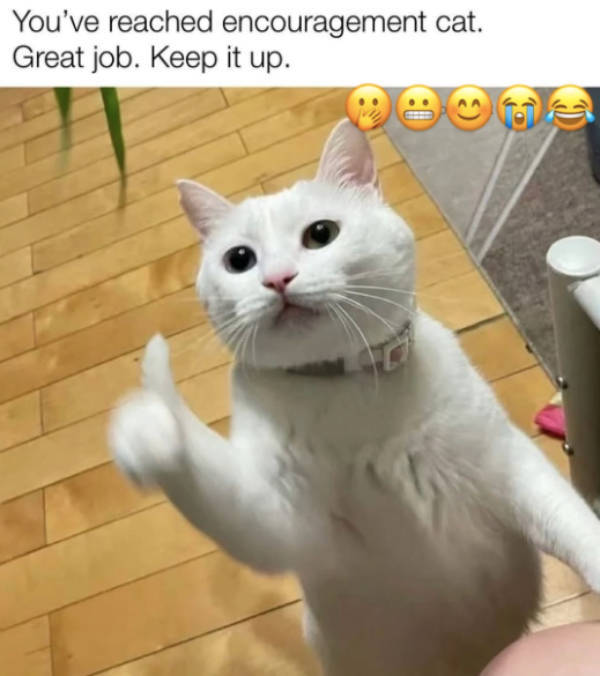 Can’t Even Argue With That Reaction