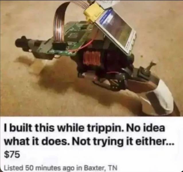 So Dumb It’s Actually Hilarious