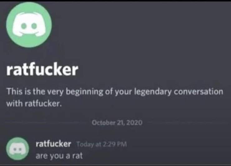 So Dumb It’s Actually Hilarious