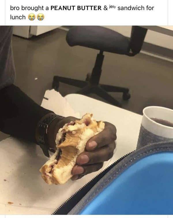 So Dumb It’s Actually Hilarious