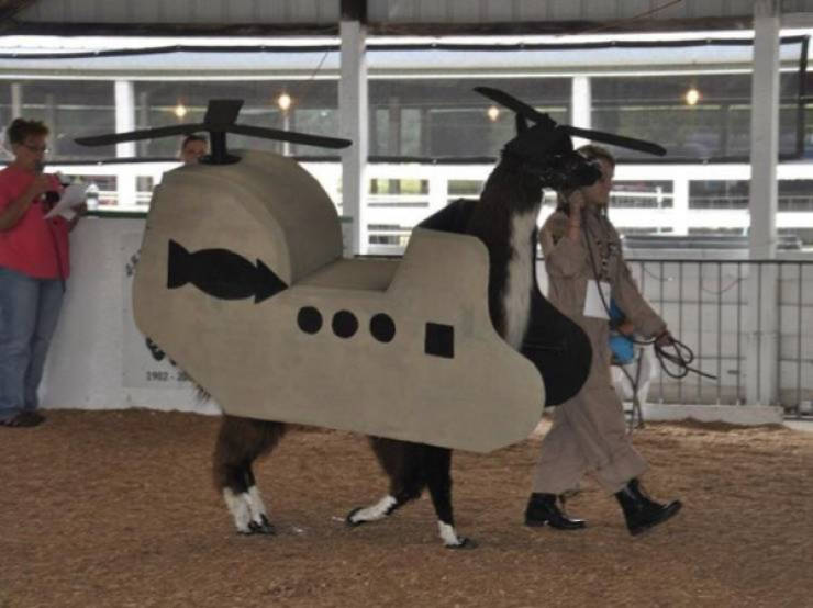 Absolutely Unexplainable Photos