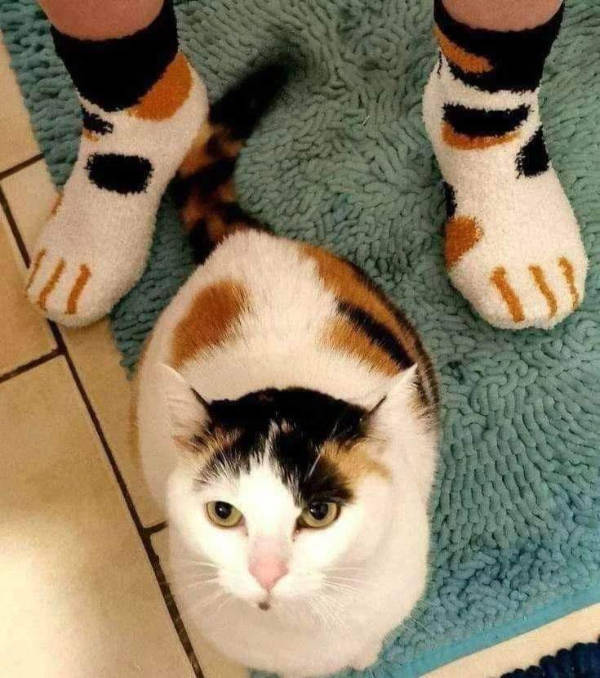 Absolutely Unexplainable Photos