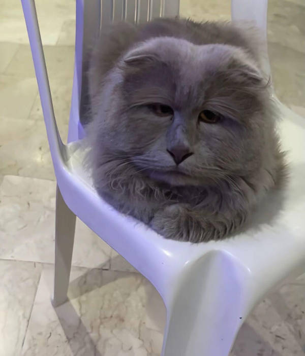 Absolutely Unexplainable Photos