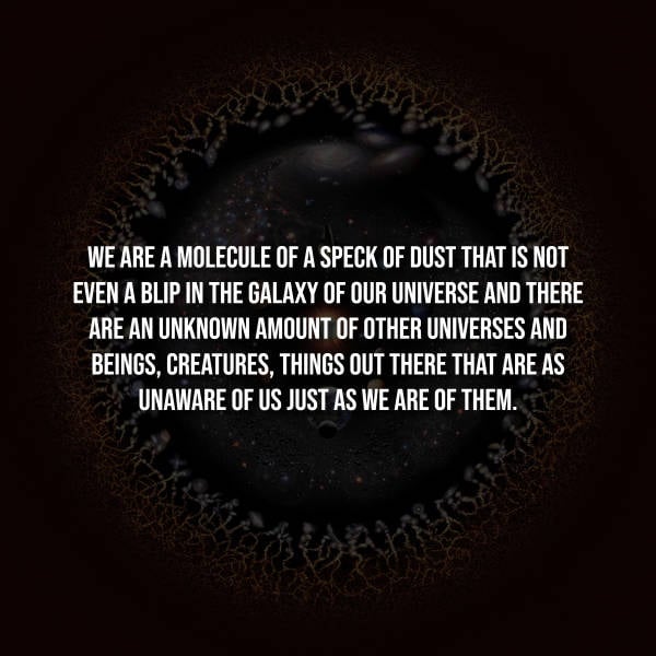 Creepy Facts That Will Haunt Your Thoughts