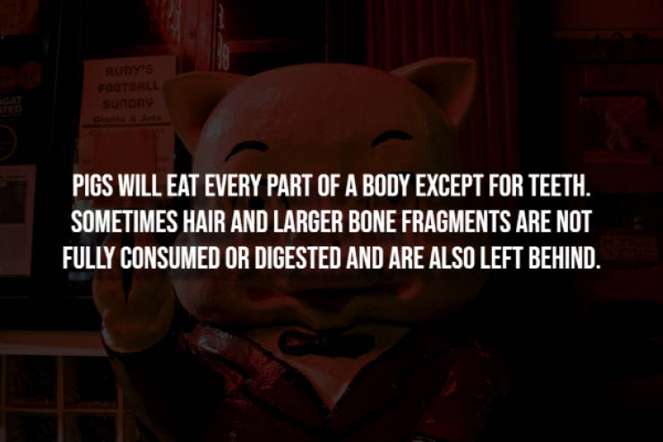 Creepy Facts That Will Haunt Your Thoughts