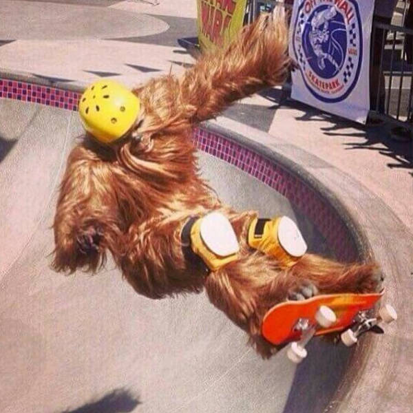 F#ck Yeah! These Moments Rule!