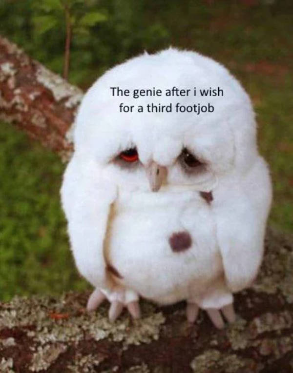 So Dank It Should Be Illegal