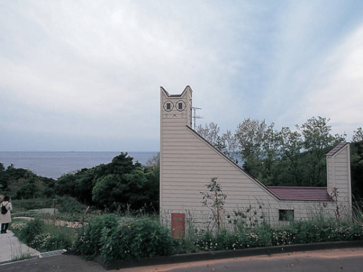 Uniquely Beautiful Moments Caught on Camera