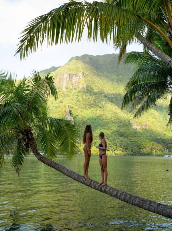 Uniquely Beautiful Moments Caught on Camera