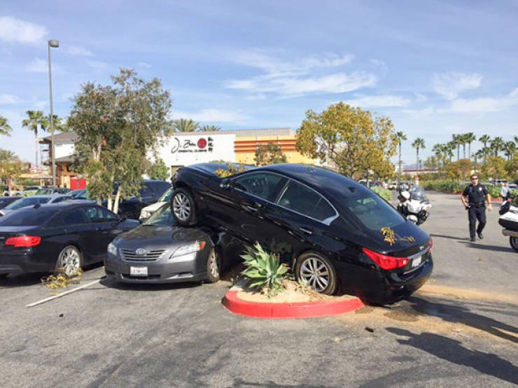 Drivers Who Clearly Skipped the Thinking Part