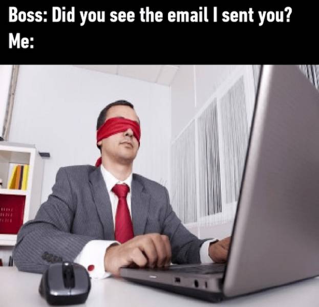 These Memes Don’t Know Much — But They’re Right