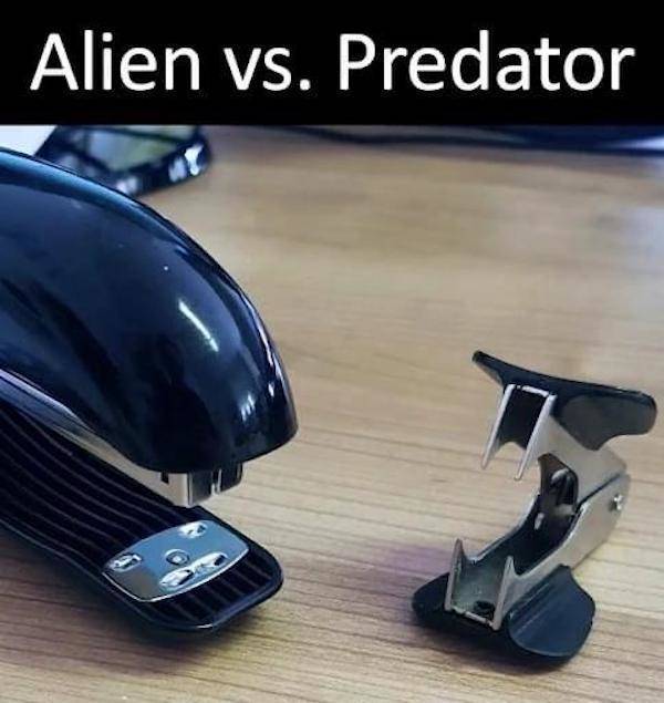 These Memes Don’t Know Much — But They’re Right