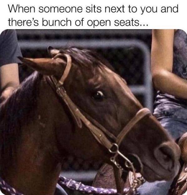 These Memes Don’t Know Much — But They’re Right