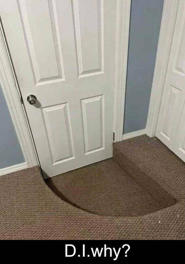 These Memes Don’t Know Much — But They’re Right