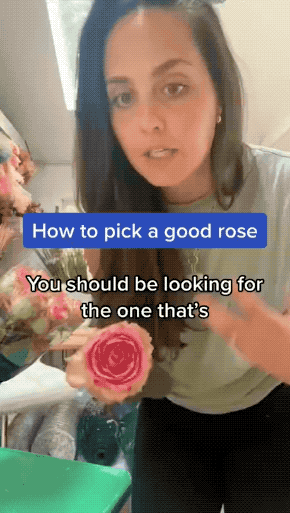 Expect the Un-EXPECTED