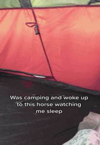 Expect the Un-EXPECTED