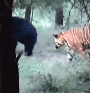 Expect the Un-EXPECTED