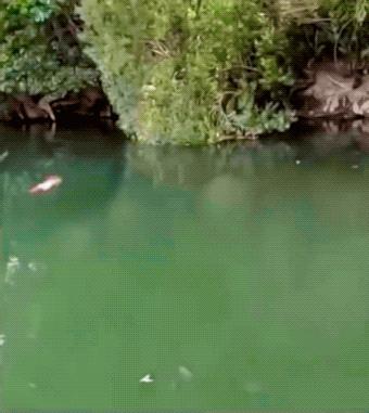 Expect the Un-EXPECTED