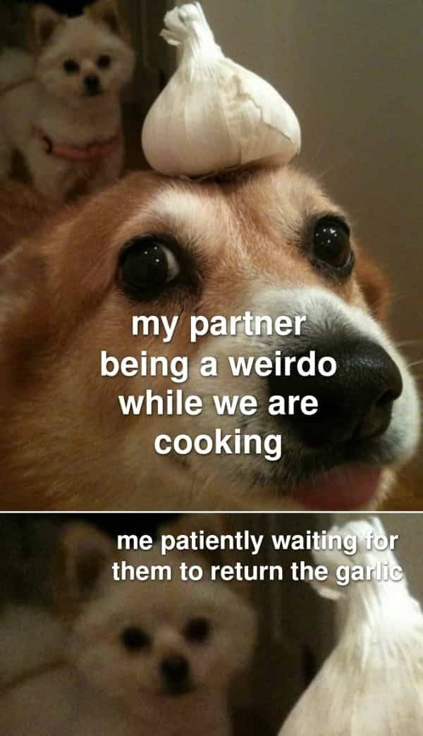 Flirty Memes to Send to Your Better Half