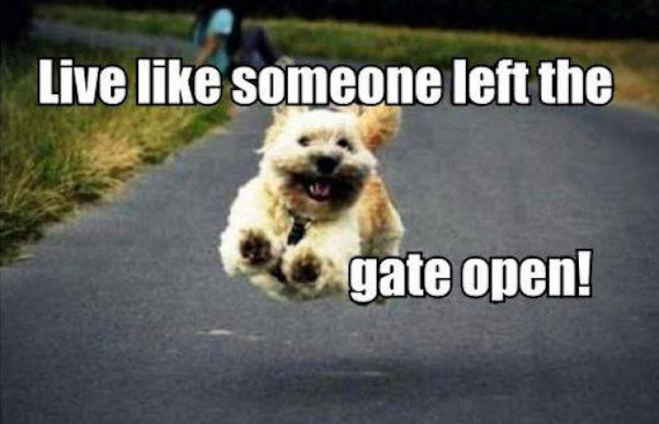 Memes That Hit the Target Every Time