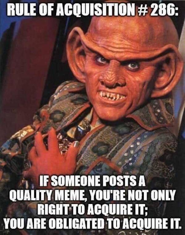 Memes That Hit the Target Every Time