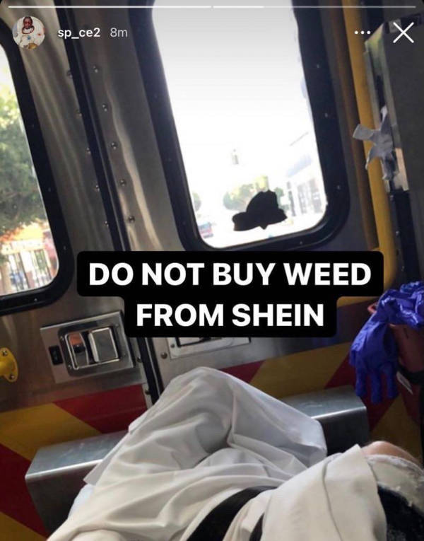 The Internet’s Weirdest Moments