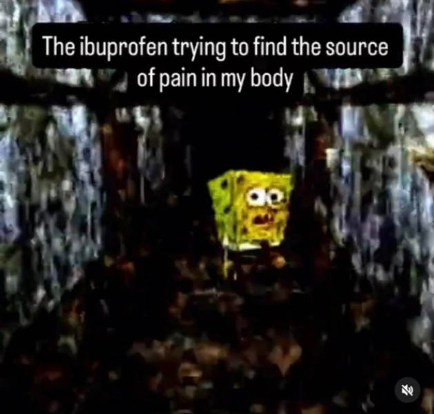 A Chaotic Mix of Internet Memes