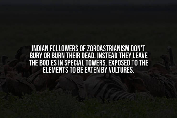 Creepy Facts That Will Haunt You