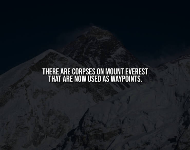 Creepy Facts That Will Haunt You