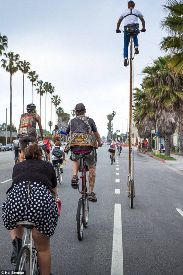 Somewhere Between Brilliant and Ridiculous