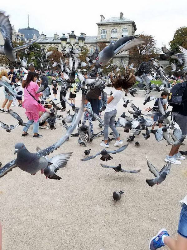 Weird Photos With Zero Context