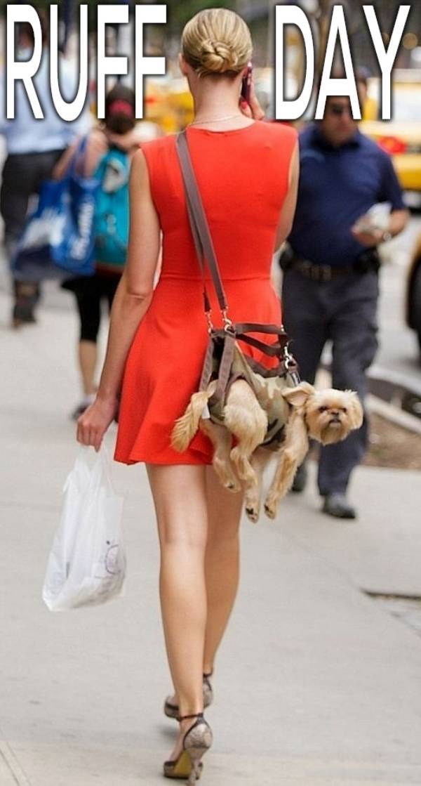 Mildly Arousing Memes