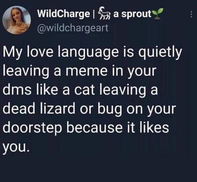 Flirty Memes to Send to Your Better Half