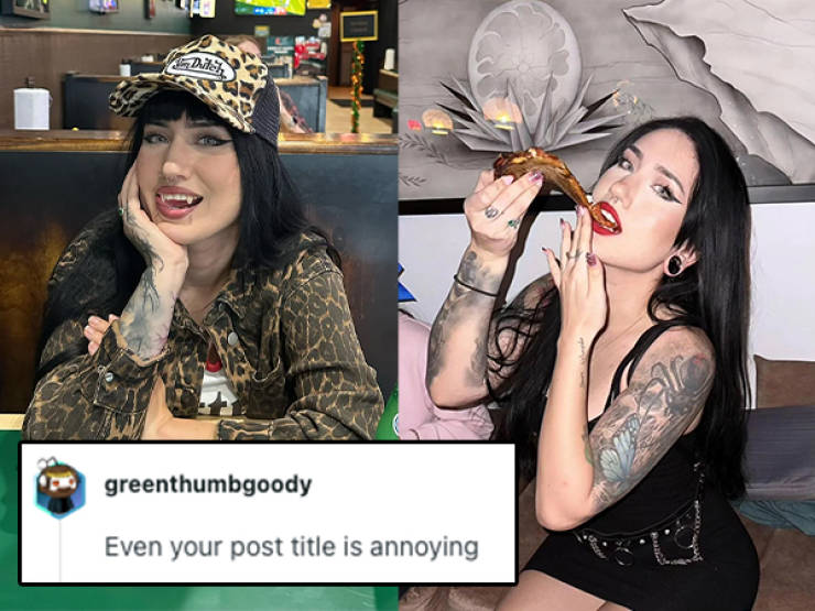 Roasts That Ended Careers