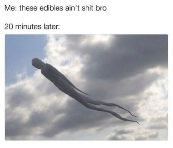 Certified Dank Memes You Need Right Now