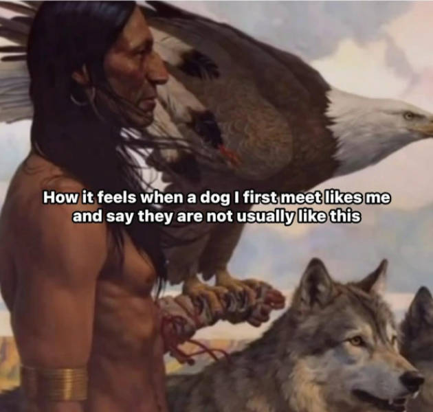 Certified Dank Memes You Need Right Now