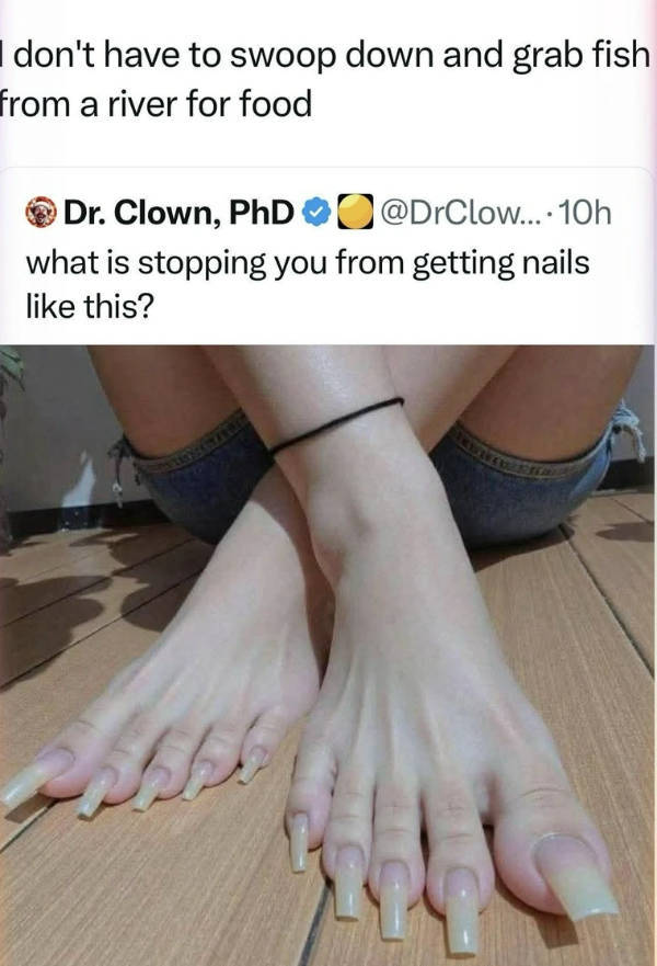 Certified Dank Memes You Need Right Now