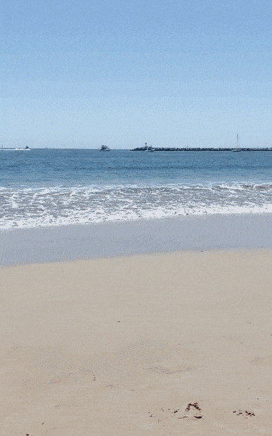 Girls Wanna Have Some Fun