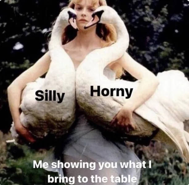 Cute and Flirty Memes for Your Favorite Person