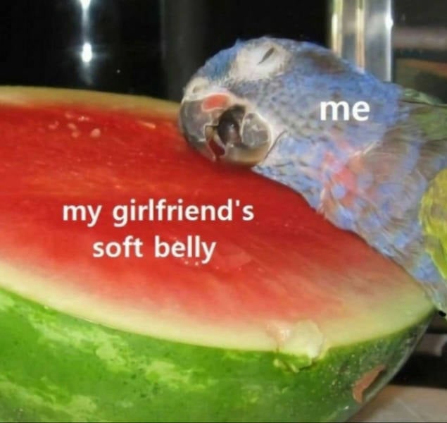 Cute and Flirty Memes for Your Favorite Person