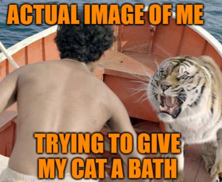 Daily Picdump