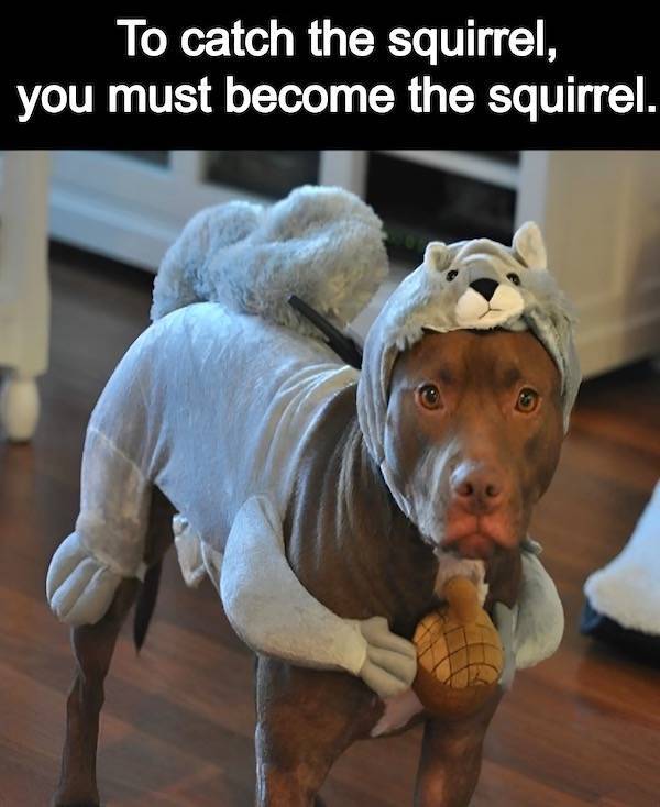 Daily Picdump