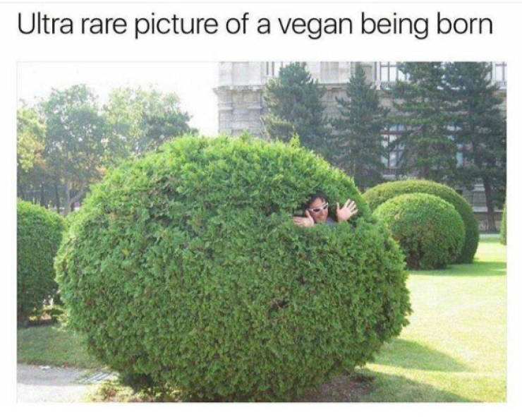 Prescribed Daily Dose of Dank Memes