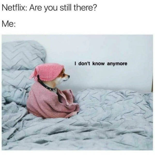 Prescribed Daily Dose of Dank Memes