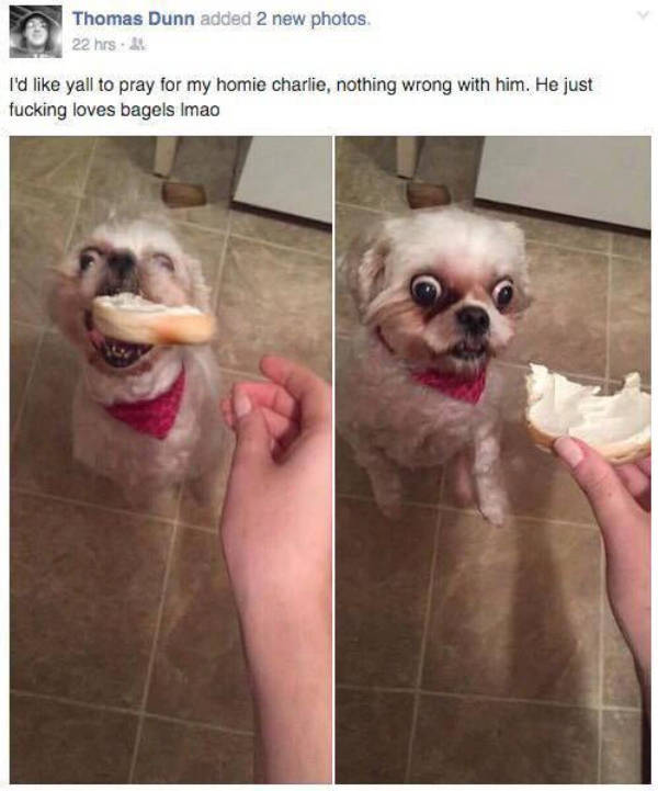 Prescribed Daily Dose of Dank Memes
