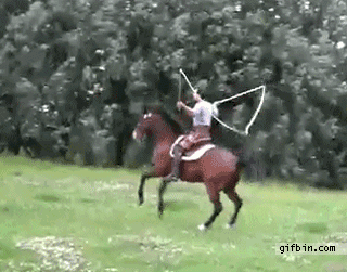 Daily Gifdump