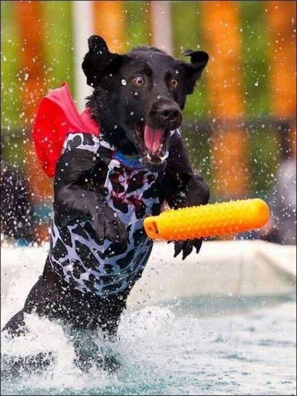 Daily Picdump