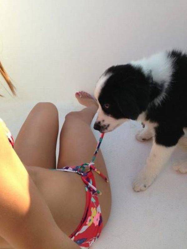 Daily Picdump